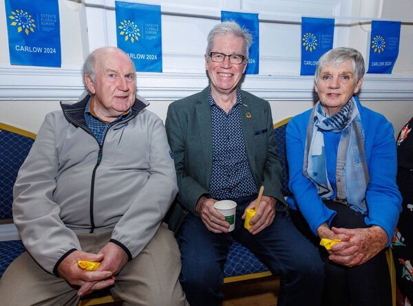 Michael Roberts, Dan McInerney and Helen Behan