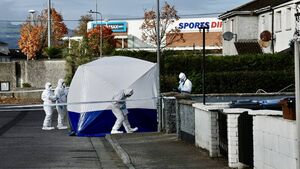 Woman arrested after man (30) dies following assault at house in Carlow town Woman arrested after man (30) dies following assault at house in Carlow town