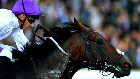 Dispute over ownership of €2.4m retired racehorse comes to court