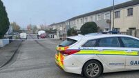 Man who died in Carlow assault named locally