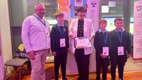 Tullow BNS in the spotlight at Cinéaltas event in Croke Park