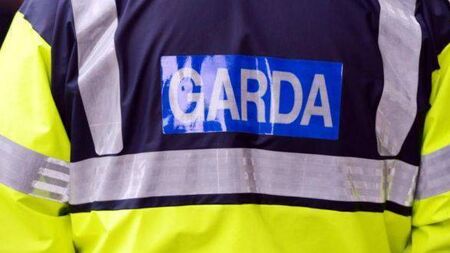 Threatened to get garda's house burnt down