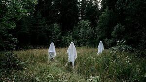 Poll: Do you believe in ghosts? Have you got a ghost story? Poll: Do you believe in ghosts? Have you got a ghost story?