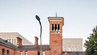 Woman pleads guilty to dangerous driving causing death of mother of two in Cork