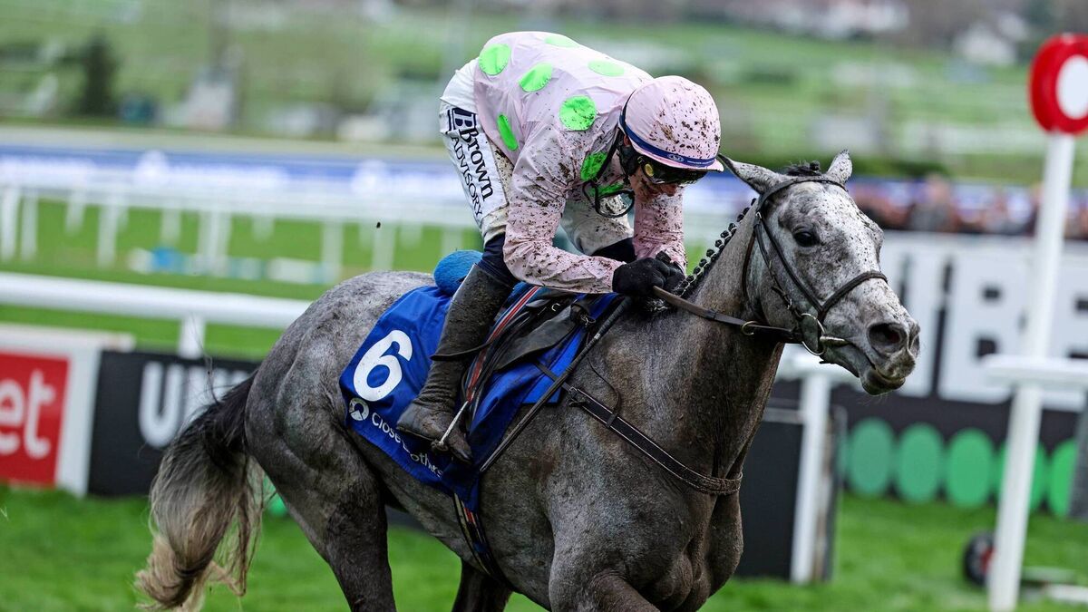 Mullins targets Champion Hurdle for Lossiemouth