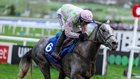 Mullins targets Champion Hurdle for Lossiemouth