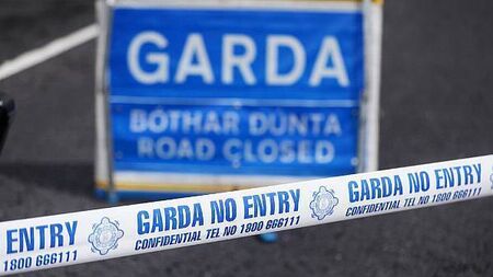 Pedestrian dies after being struck by car in Co Cork