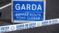 Pedestrian dies after being struck by car in Co Cork