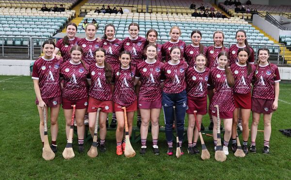 The Naomh Brid minor camogie team who contested the final against Mount Leinster Rangers Photo: Pat Ahern The Naomh Brid minor camogie team who contested the final against Mount Leinster Rangers Photo: Pat Ahern