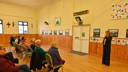 Photo competition brightens up Borris Town Hall