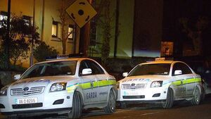 Two houses burgled in Tullow