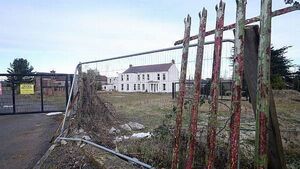 More than 100 people give testimony to probe into mother and baby homes More than 100 people give testimony to probe into mother and baby homes