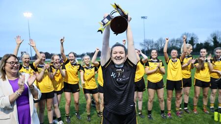 Bennekerry/Tinryland land Leinster title with famous win