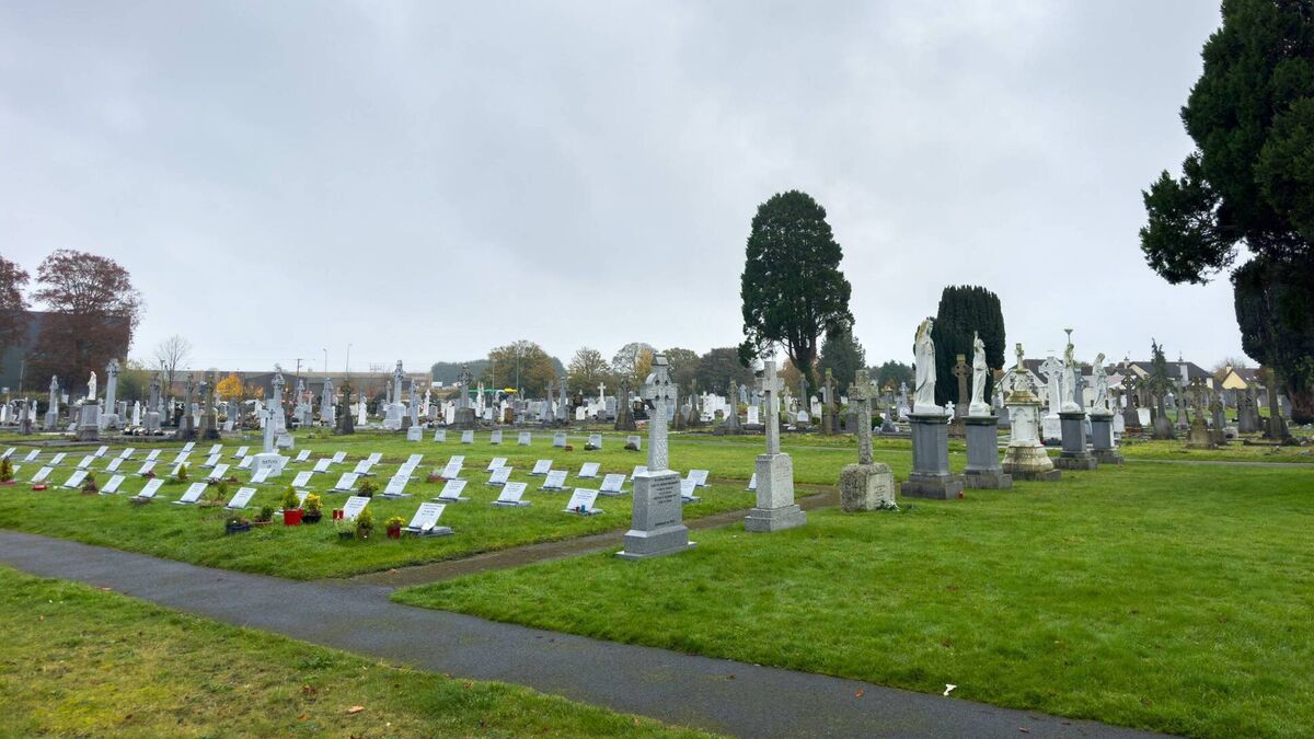 Anger at Halloween fireworks and drinks parties in cemetery