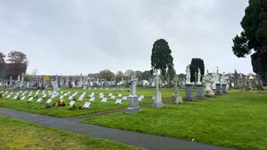 Anger at Halloween fireworks and drinks parties in cemetery