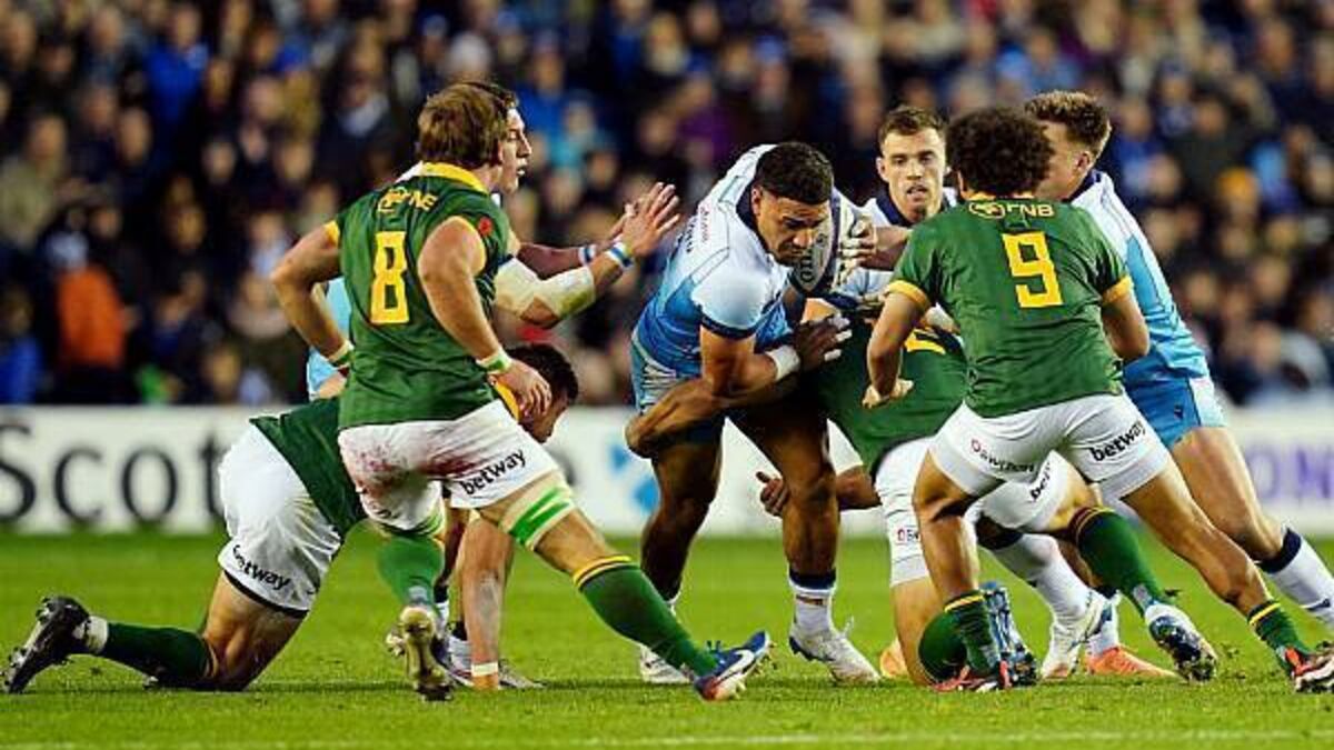 Spirited Scotland make South Africa work for Murrayfield victory