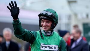 Mullins to unleash interesting bumper horse at Fairyhouse today
