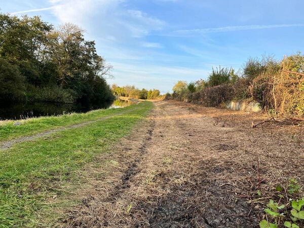 ... And how it looks after Waterways Ireland's clearance programme near Maganey bridge