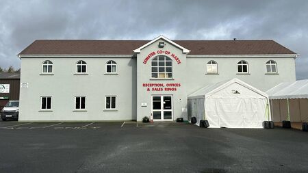 Farmer gets suspended sentence for ‘poisonous attitude’ to Leinster Marts