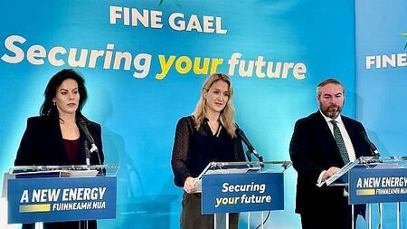 All Fine Gael’s policy pledges are fully costed, McEntee says