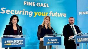 All Fine Gael’s policy pledges are fully costed, McEntee says All Fine Gael’s policy pledges are fully costed, McEntee says