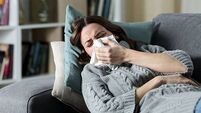 'Influenza, tuberculosis and HIV/AIDS combined': HSE warns of impact of antibiotic-resistance