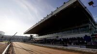 Paul Hennessy speaks about his preparation for Boylesports Bob ahead of this weekend's Irish Greyhound Derby