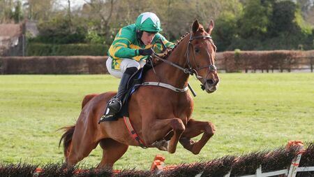 Capodonno set for a crack at the Betfair Chase at Haydock