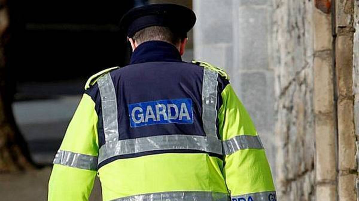 Woman arrested in connection with stabbing of a man (20s) in Limerick