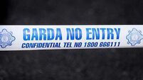Man arrested after two men injured in robbery incident in Dublin