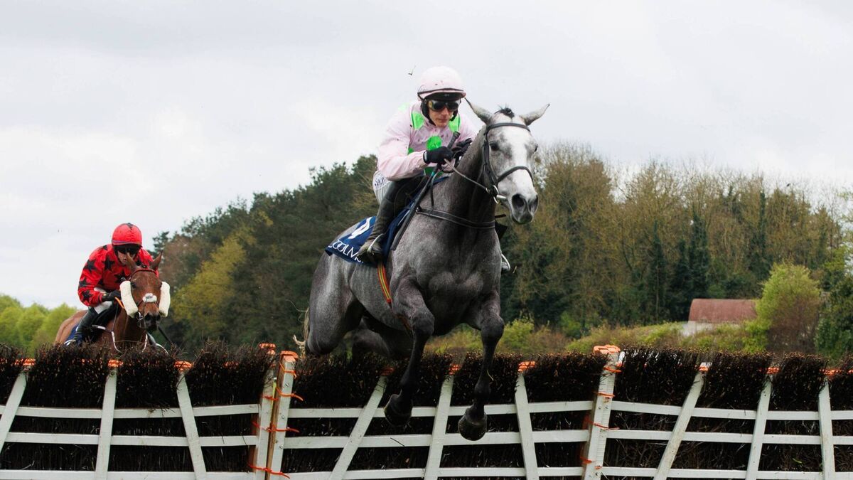 Lossiemouth to take on Teahupoo at Fairyhouse