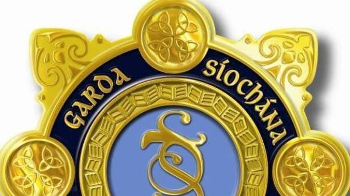 Assault in Bagenalstown