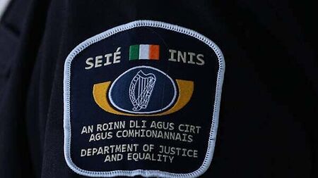 Record 30,000 decisions made on Irish citizenship applications