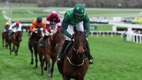 Mullins enters 14 for the Lawlor’s Of Naas Novice Hurdle
