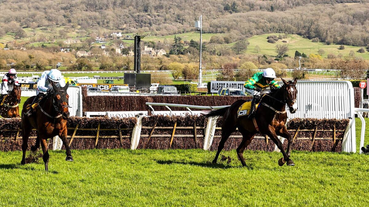 Saturday Fairyhouse preview