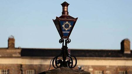 Man arrested after €217,000 herbal cannabis and €5,400 cash seized in South Dublin