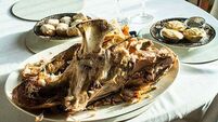 Half of the food bought for the festive season goes to waste, research shows