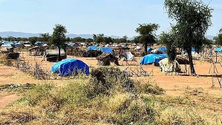 Hunger crisis could kill more people in Sudan than civil war violence – charity