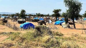 Hunger crisis could kill more people in Sudan than civil war violence – charity Hunger crisis could kill more people in Sudan than civil war violence – charity