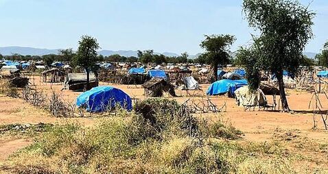 Hunger crisis could kill more people in Sudan than civil war violence – charity