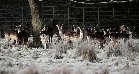Met Éireann warn of 'multi-hazard weather event' over the weekend
