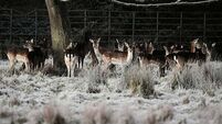 Met Éireann warn of 'multi-hazard weather event' over the weekend