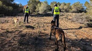 Brother of Belfast man missing in Spain makes appeal to find body Brother of Belfast man missing in Spain makes appeal to find body