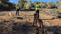 Brother of Belfast man missing in Spain makes appeal to find body
