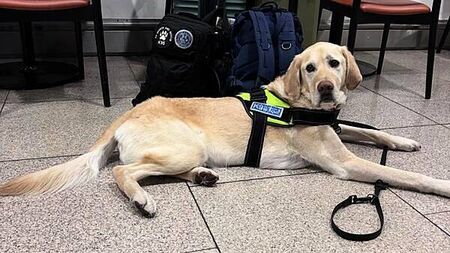 Rescue team returns from Spain after search for missing Belfast man