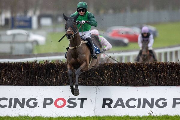 Patrick Mullins on Fun Fun Fun wins The Irish Stallion Farms EBF Mares Beginners Steeplechase Photo: ©INPHO/Morgan Treacy