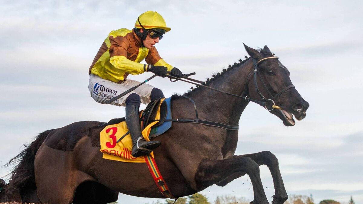 Galopin Des Champs among a galaxy of stars set for Dublin Racing Festival