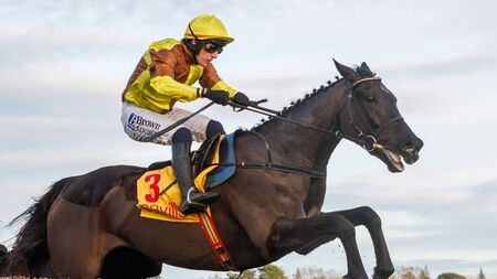 Galopin Des Champs among a galaxy of stars set for Dublin Racing Festival