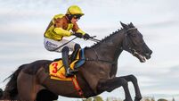 Galopin Des Champs among a galaxy of stars set for Dublin Racing Festival