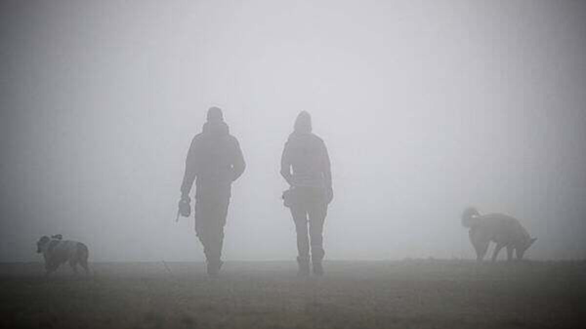 Status yellow fog warning issued for entire country